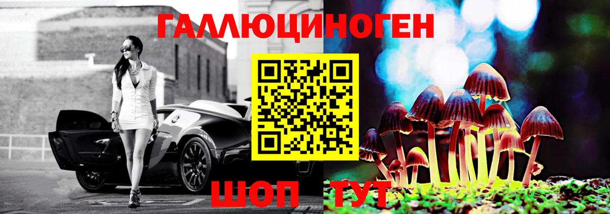 Чебаркуль  Псилоцибиновые грибы Psilocybe  Вход с VPN  Галлюциногенные грибы Psilocybe 